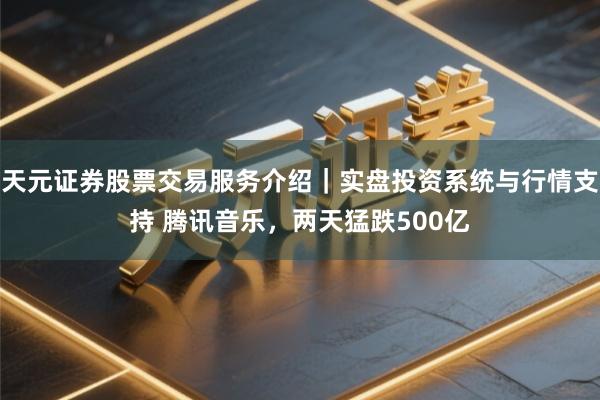 天元证券股票交易服务介绍｜实盘投资系统与行情支持 腾讯音乐，两天猛跌500亿