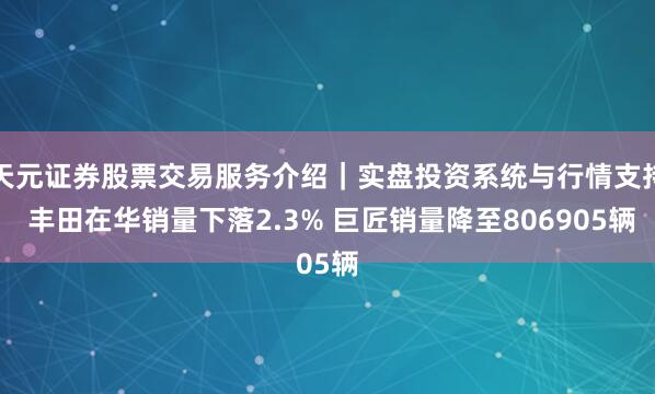 天元证券股票交易服务介绍｜实盘投资系统与行情支持 丰田在华销量下落2.3% 巨匠销量降至806905辆