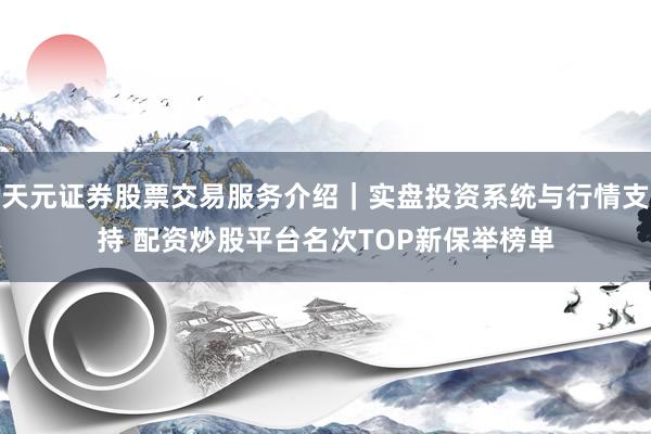 天元证券股票交易服务介绍｜实盘投资系统与行情支持 配资炒股平台名次TOP新保举榜单