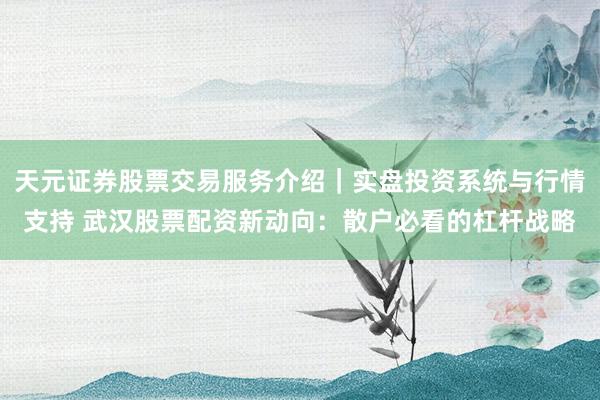 天元证券股票交易服务介绍｜实盘投资系统与行情支持 武汉股票配资新动向：散户必看的杠杆战略