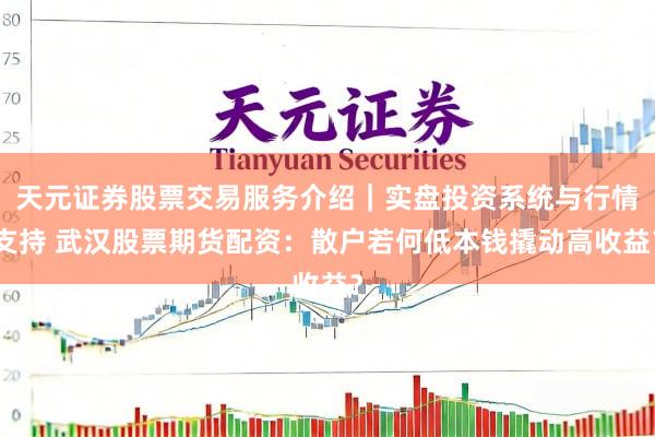 天元证券股票交易服务介绍｜实盘投资系统与行情支持 武汉股票期货配资：散户若何低本钱撬动高收益？