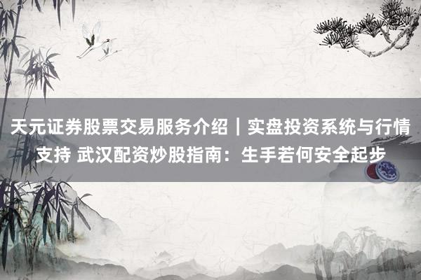 天元证券股票交易服务介绍｜实盘投资系统与行情支持 武汉配资炒股指南：生手若何安全起步