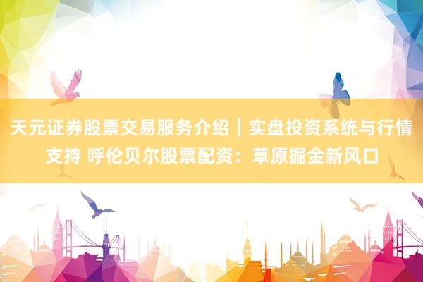 天元证券股票交易服务介绍｜实盘投资系统与行情支持 呼伦贝尔股票配资：草原掘金新风口