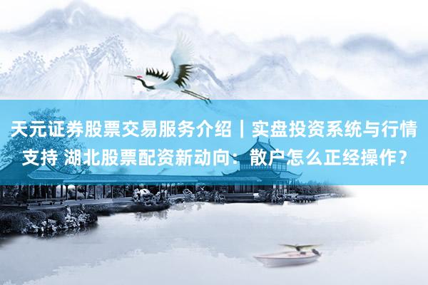 天元证券股票交易服务介绍｜实盘投资系统与行情支持 湖北股票配资新动向：散户怎么正经操作？