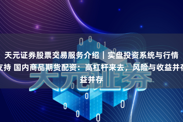 天元证券股票交易服务介绍｜实盘投资系统与行情支持 国内商品期货配资：高杠杆来去，风险与收益并存