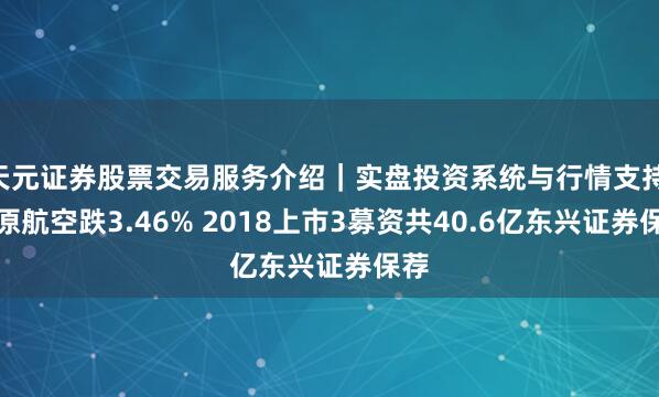 天元证券股票交易服务介绍｜实盘投资系统与行情支持 中原航空跌3.46% 2018上市3募资共40.6亿东兴证券保荐