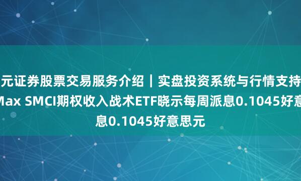 天元证券股票交易服务介绍｜实盘投资系统与行情支持 YieldMax SMCI期权收入战术ETF晓示每周派息0.1045好意思元