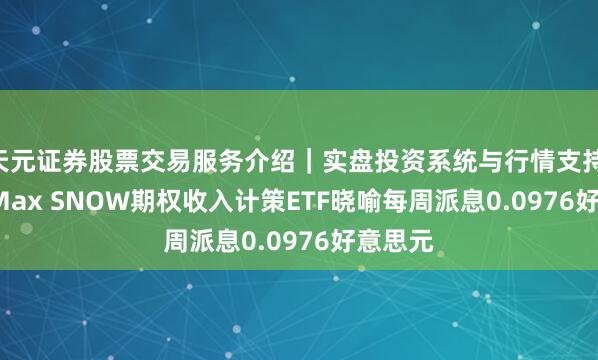天元证券股票交易服务介绍｜实盘投资系统与行情支持 YieldMax SNOW期权收入计策ETF晓喻每周派息0.0976好意思元