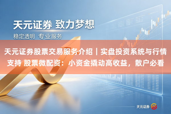 天元证券股票交易服务介绍｜实盘投资系统与行情支持 股票微配资：小资金撬动高收益，散户必看