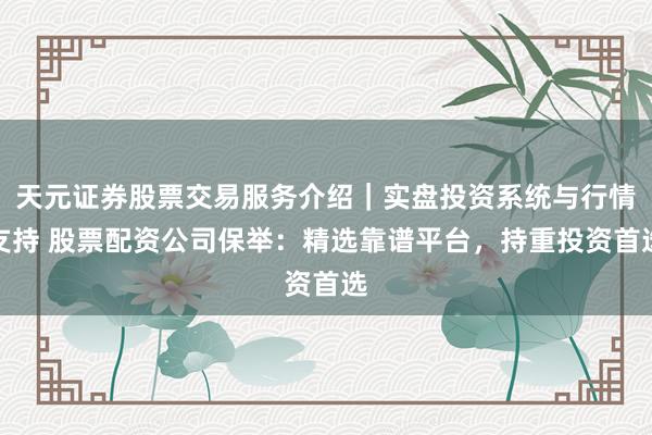 天元证券股票交易服务介绍｜实盘投资系统与行情支持 股票配资公司保举：精选靠谱平台，持重投资首选
